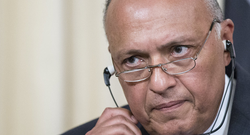 وزير الخارجية المصري  يعلن الإعداد لعقد الحوار الاستراتيجي مع الولايات المتحدة بصيغة 2+2