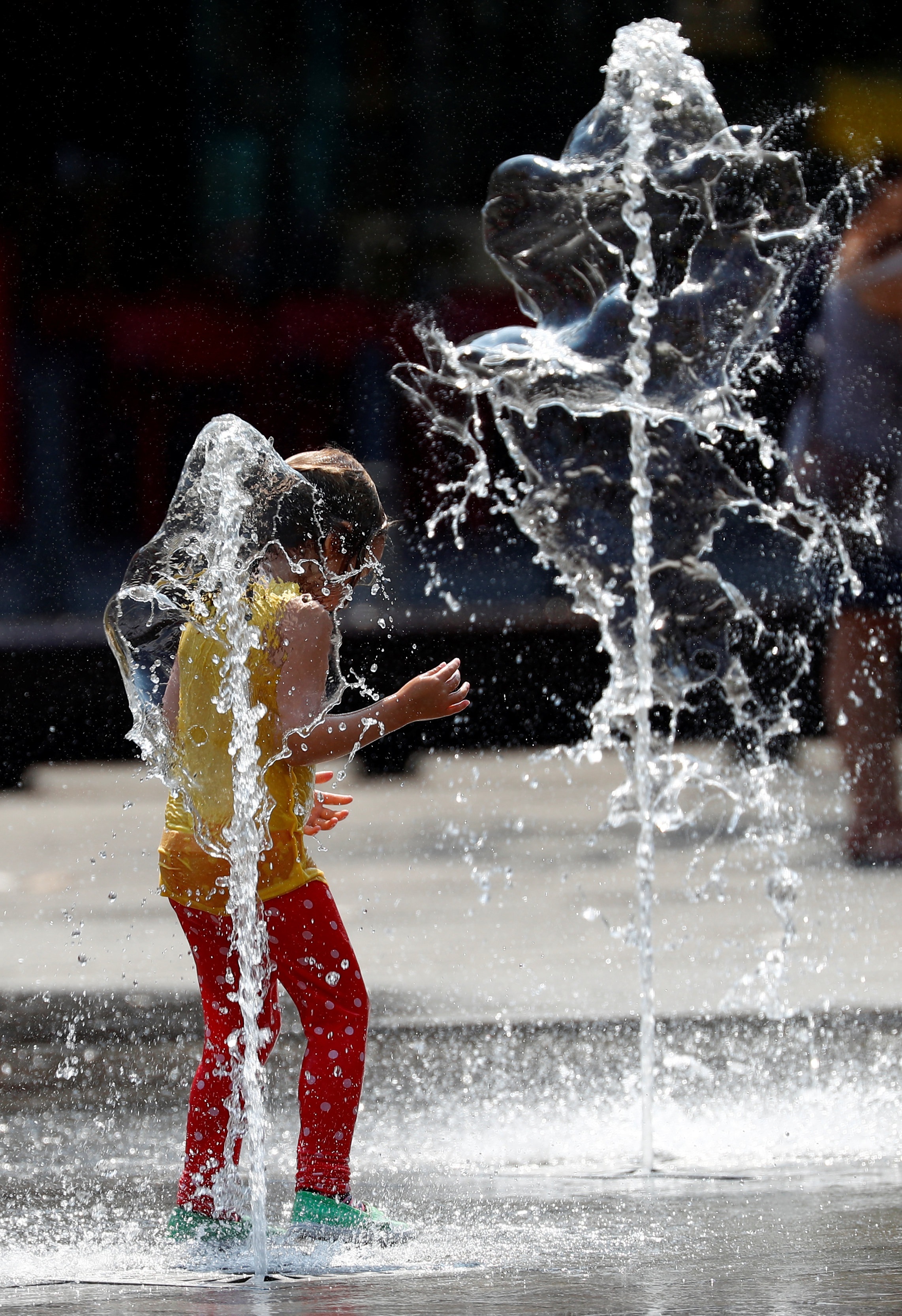 أوروبا تقاوم ارتفاع درجات الحرارة.. وجبات باردة للحيوانات بروما وأطفال ألمانيا يسبحون بالنافورات – صور